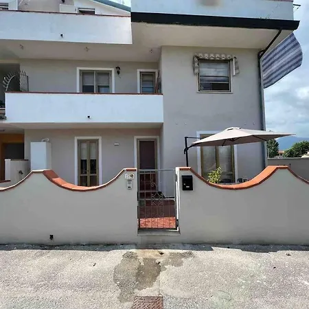 Sunflower Apartment
